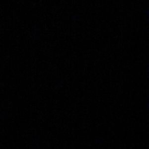 Meet your Posher, Sophia